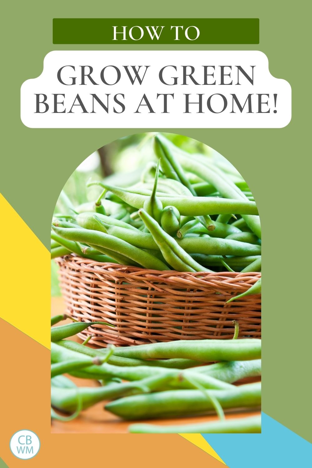 Grow green beans pinnable image
