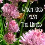 kids push the limits pinnable image