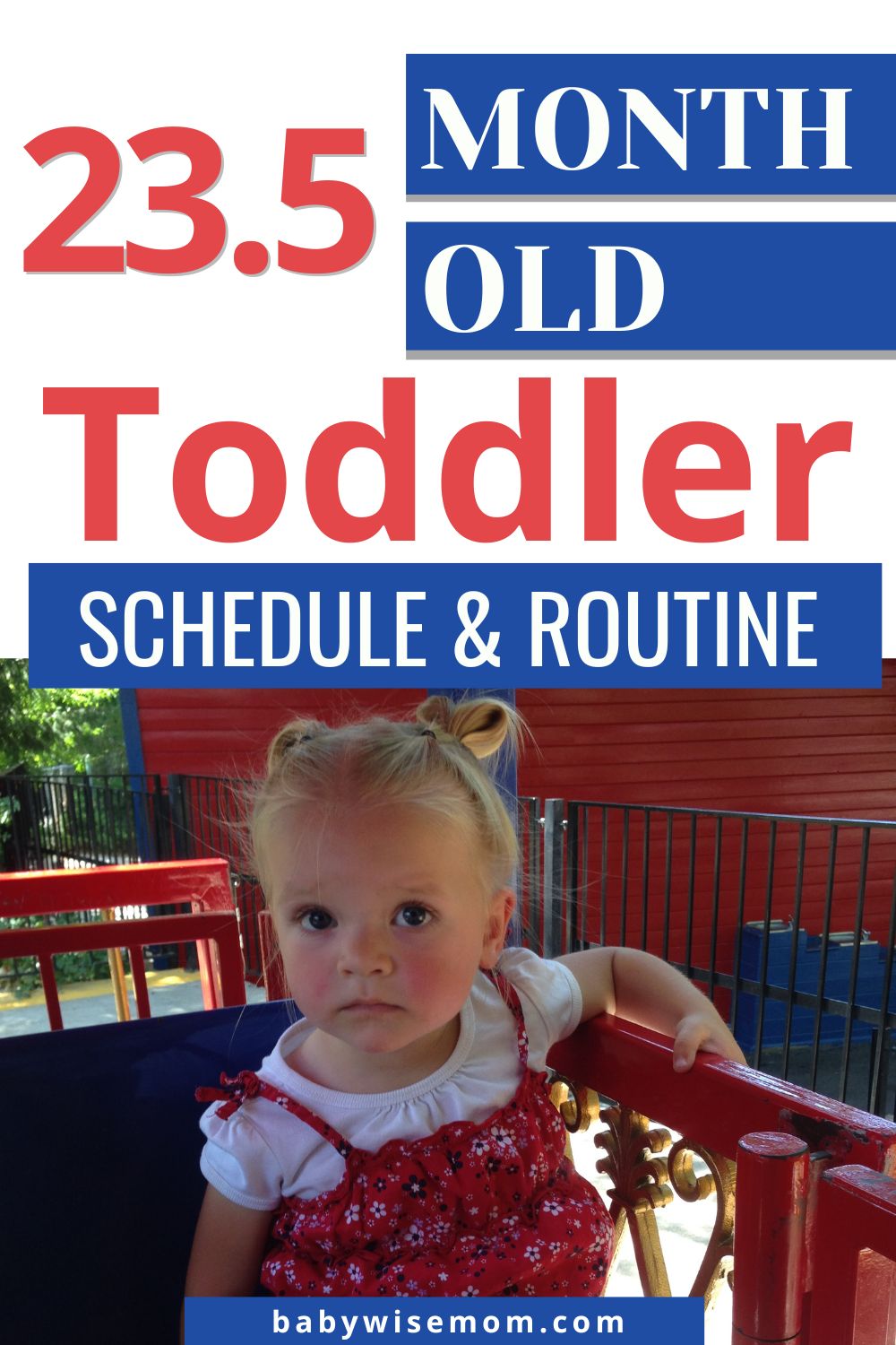 23.5 month old toddler schedule and routine pinanble image