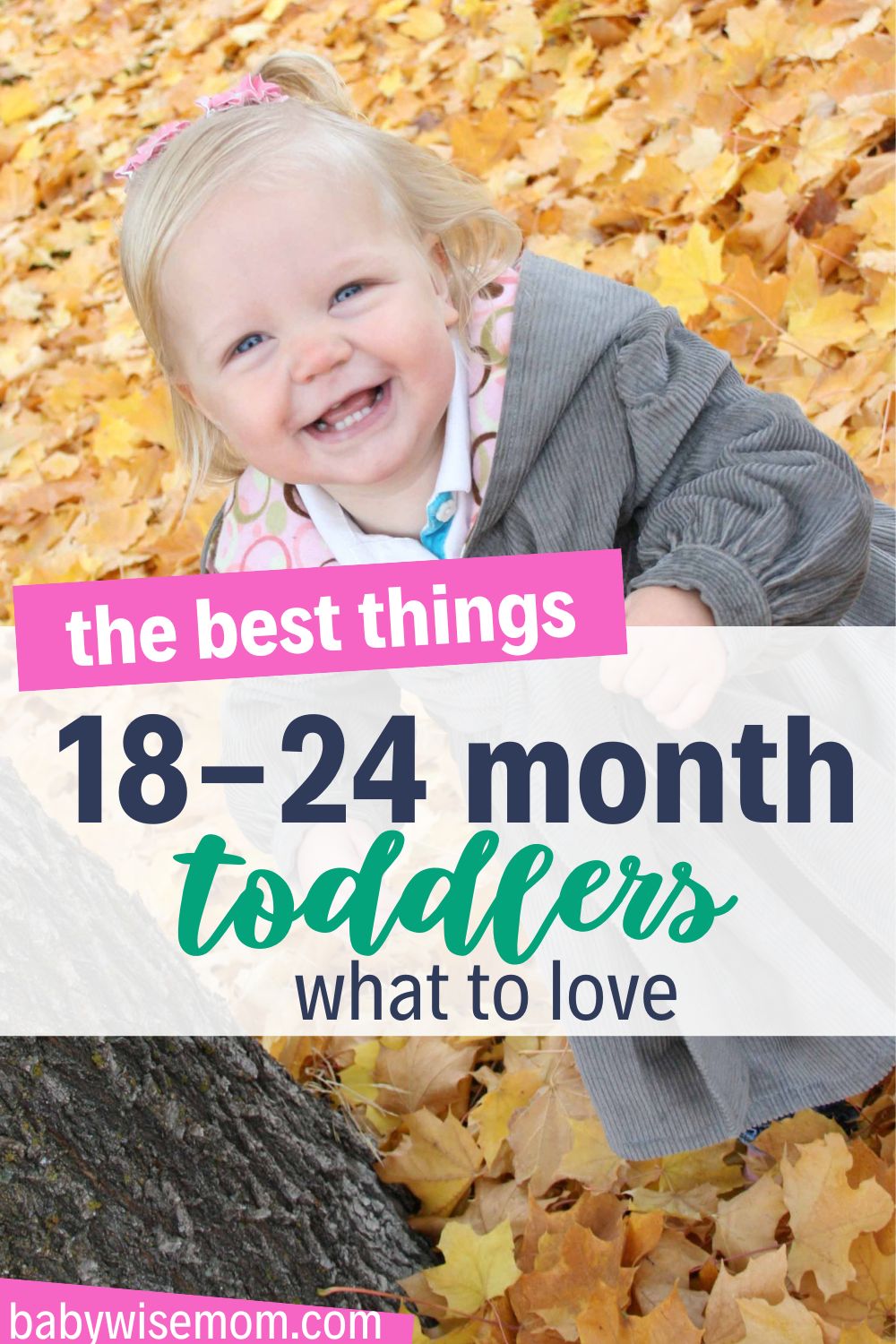 18-24 month toddlers things to love