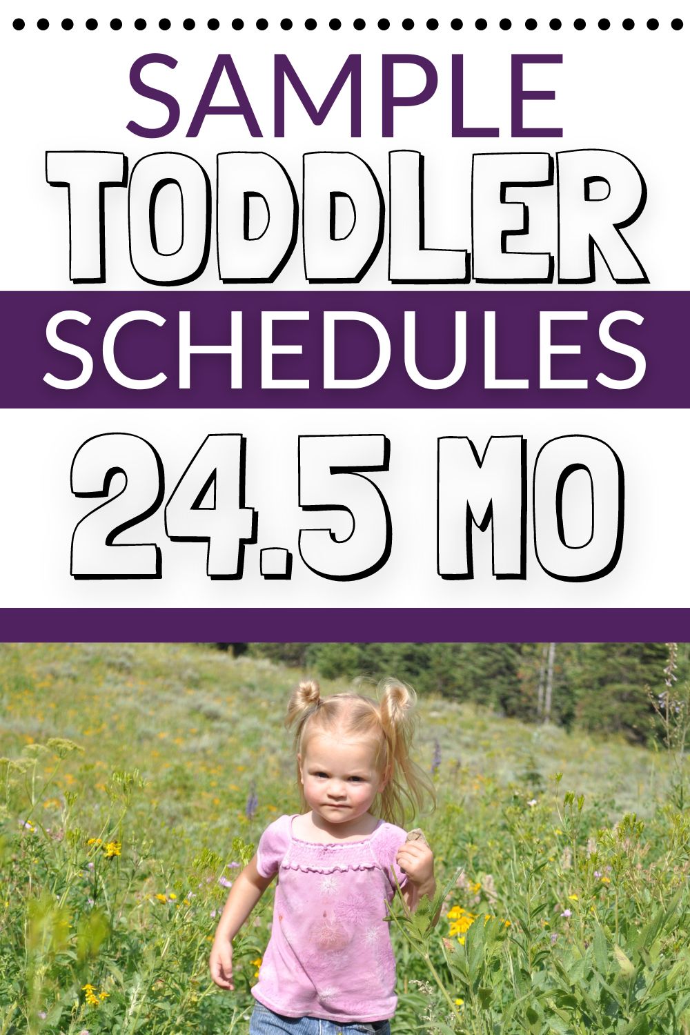 24.5 month toddler schedules