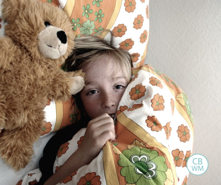 Child cuddled in blanket with stuffed animal by the head
