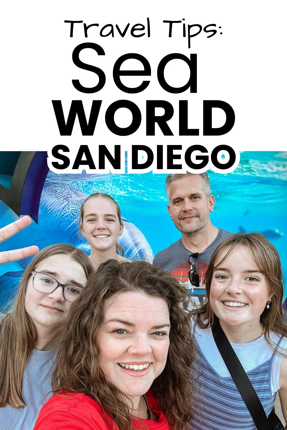 Sea World San Diego tips pinnable image