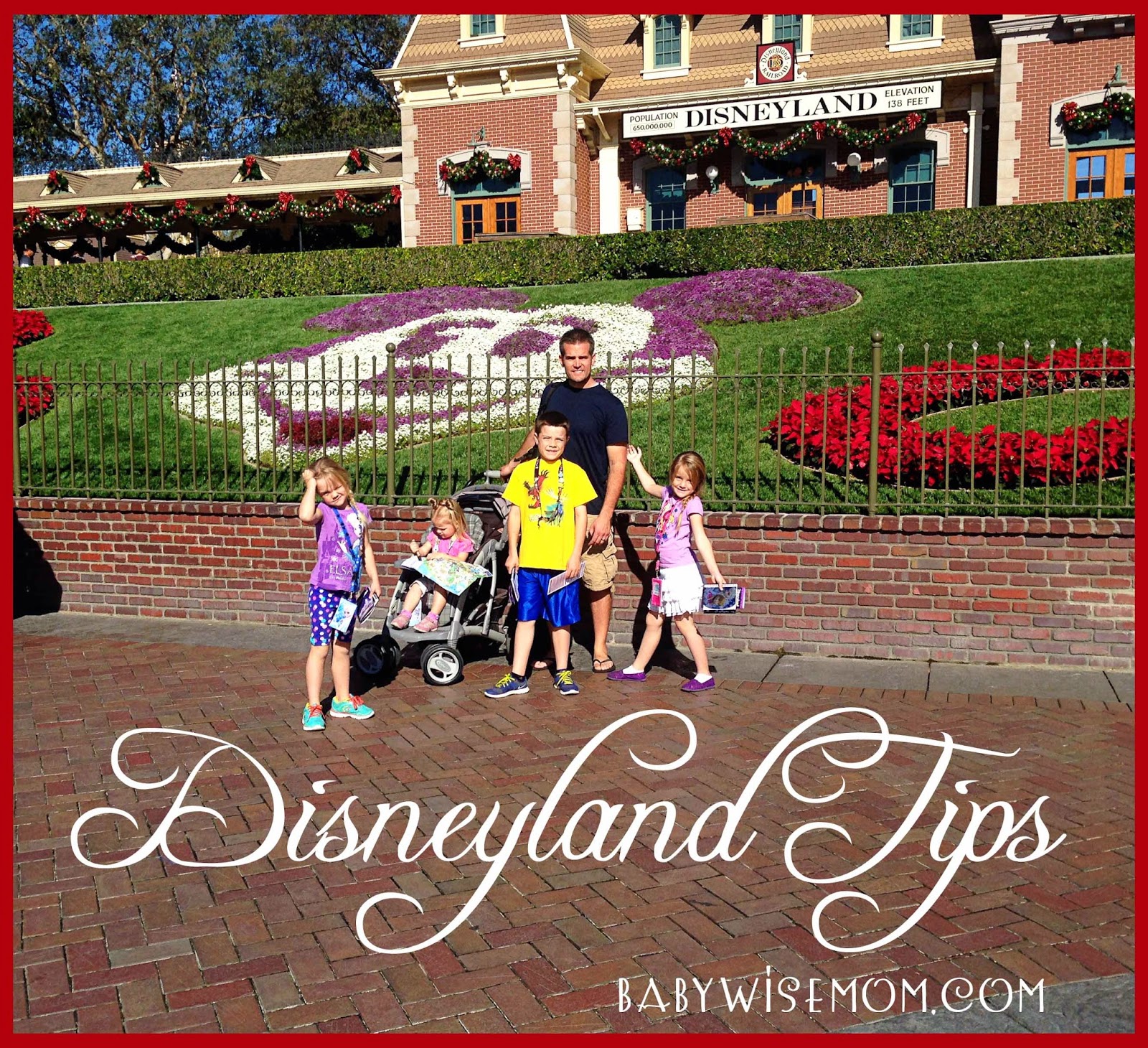 Disneyland tips