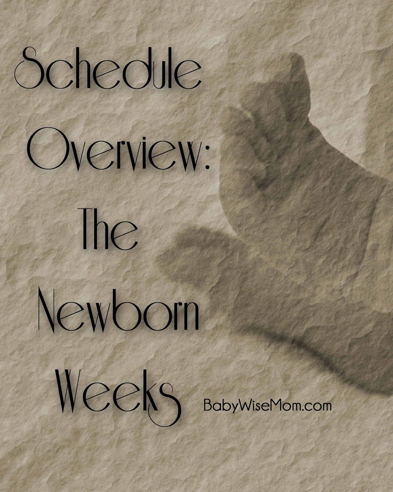 Schedule Overview of The Newborn Weeks