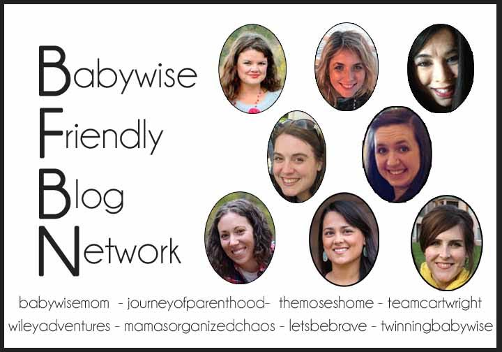 Babywise Friendly Blog Network Babywise Friendly Blog Network