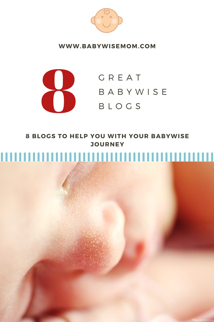 8 Great Babywise Blogs