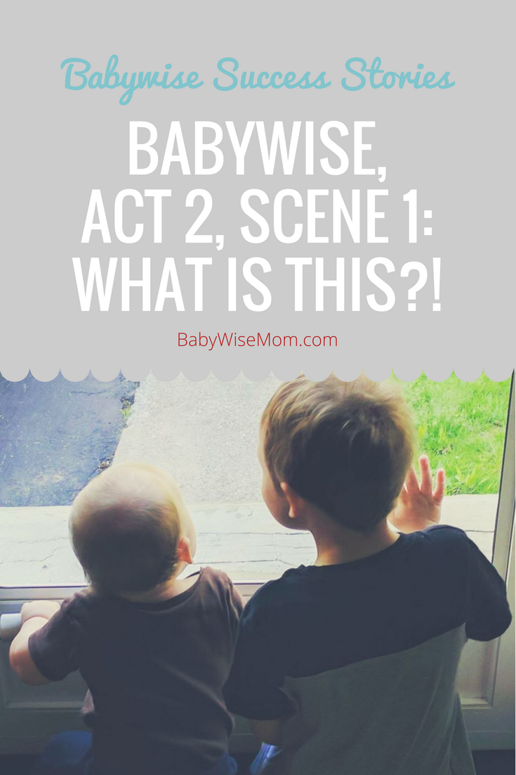 How Babywise helped through the second child, postpartum depression, and working.