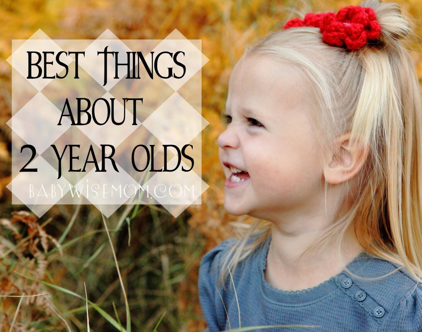 The Best Things About Two Year Olds