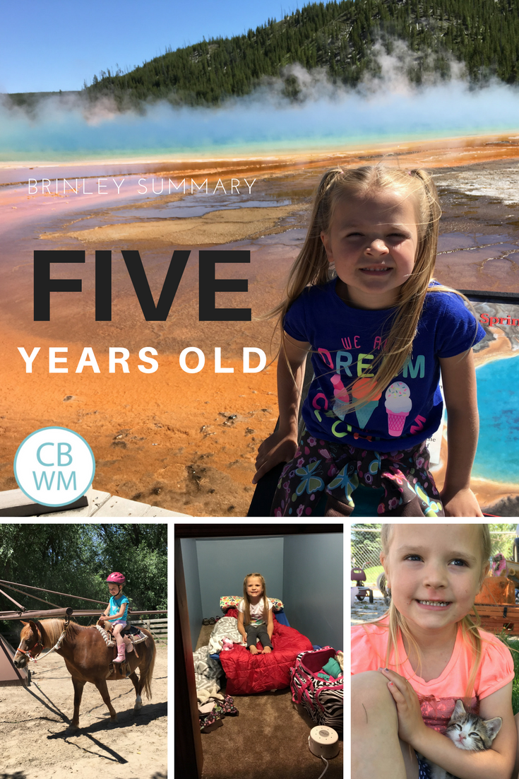 Brinley Summary: 5 Years Old! - Babywise Mom