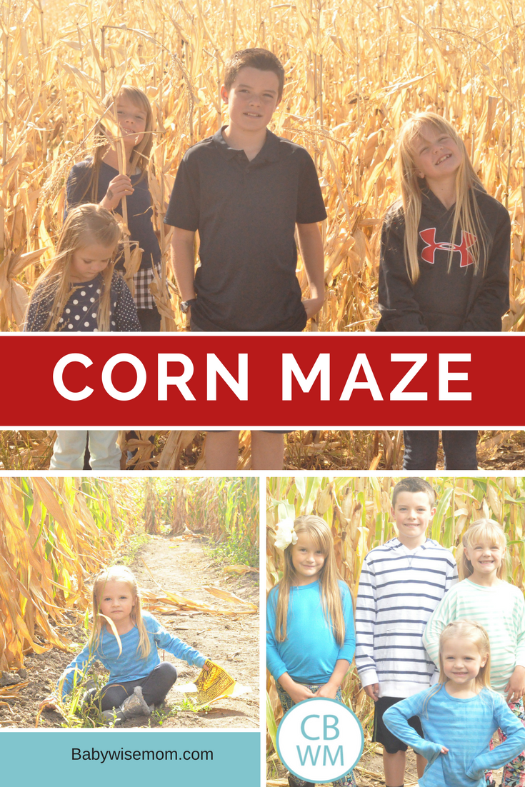 6 Things to Do With Your Kids This Fall 6 Things to Do With Your Kids This Fall