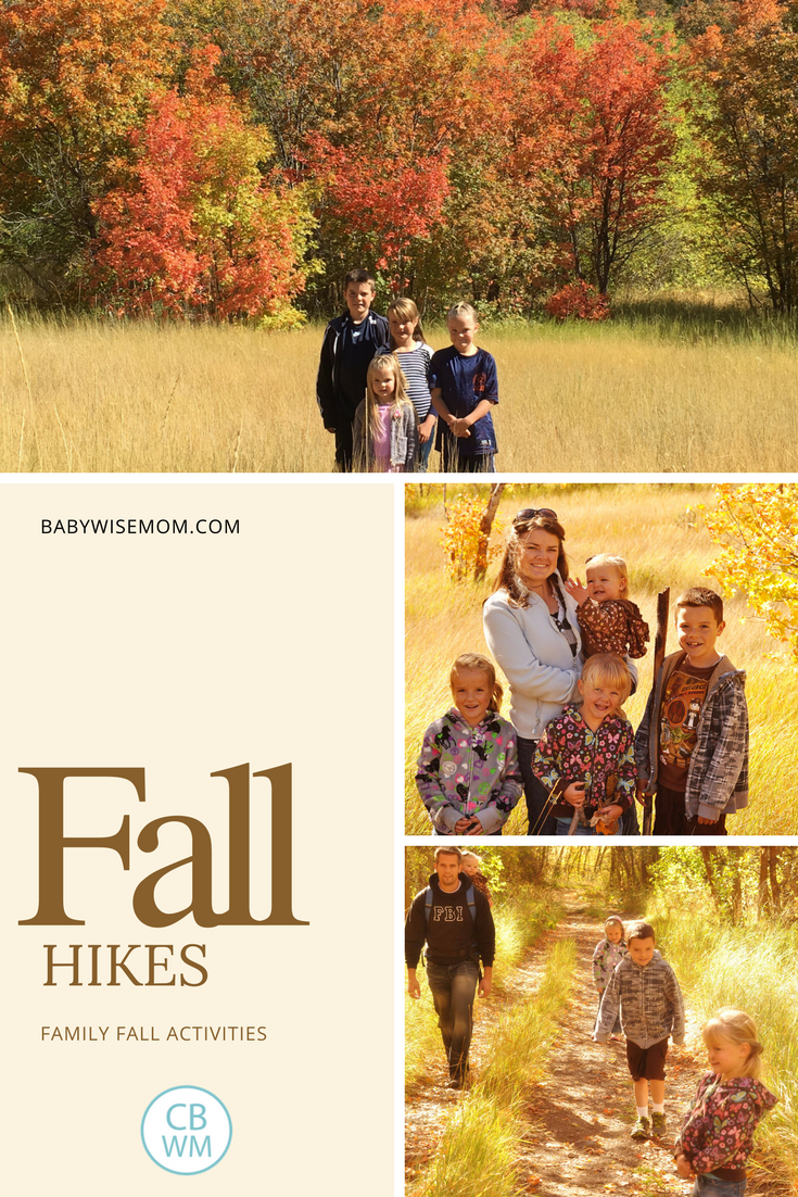 6 Things to Do With Your Kids This Fall