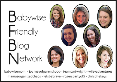  Babywise Friendly Blog Network