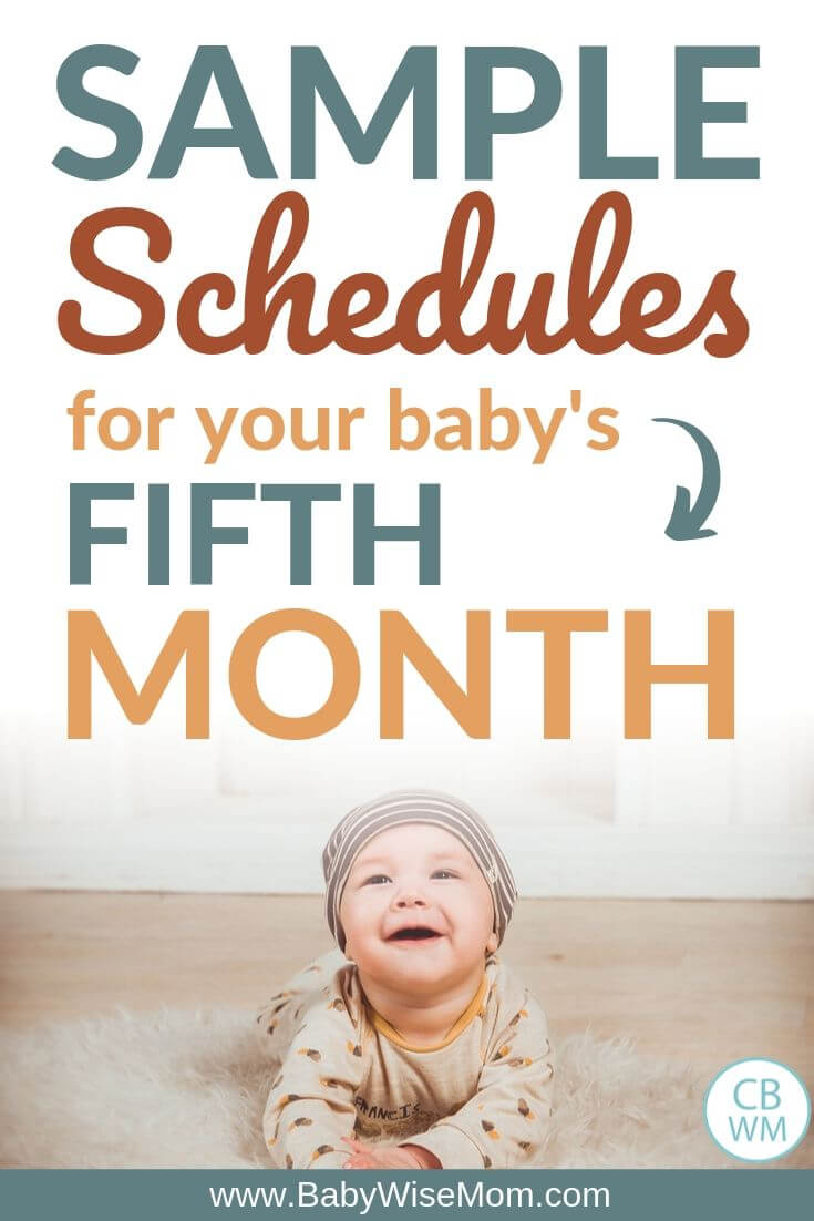 Sample Baby Schedules fifth month pinnable image