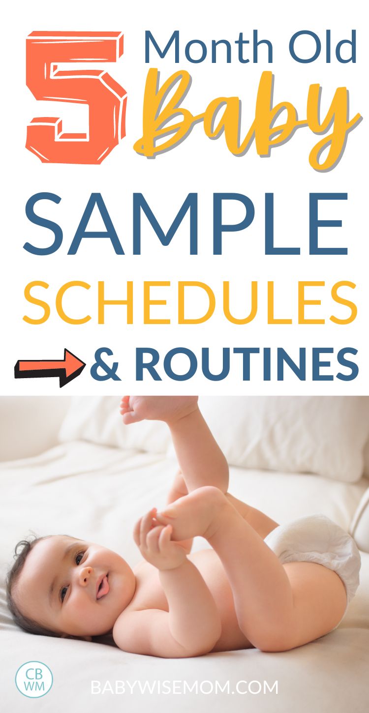 5 month old sample schedules