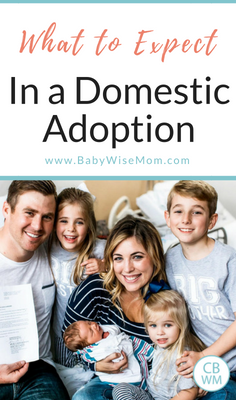 The Steps to Expect in the Process of Domestic Adoption. How to know if adoption is right for you and everything to expect.