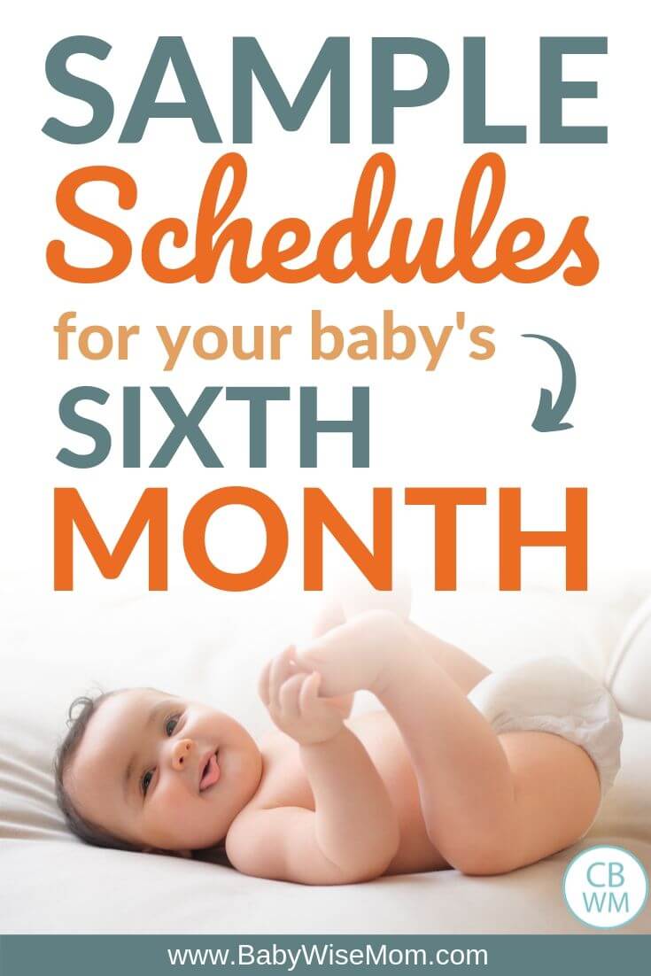 Sample Schedules for Baby sixth month Pinnable image