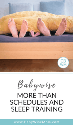 Babywise: So Much More Than Schedules and Sleep Training!. How to work to make Babywise work for you and your family situation.