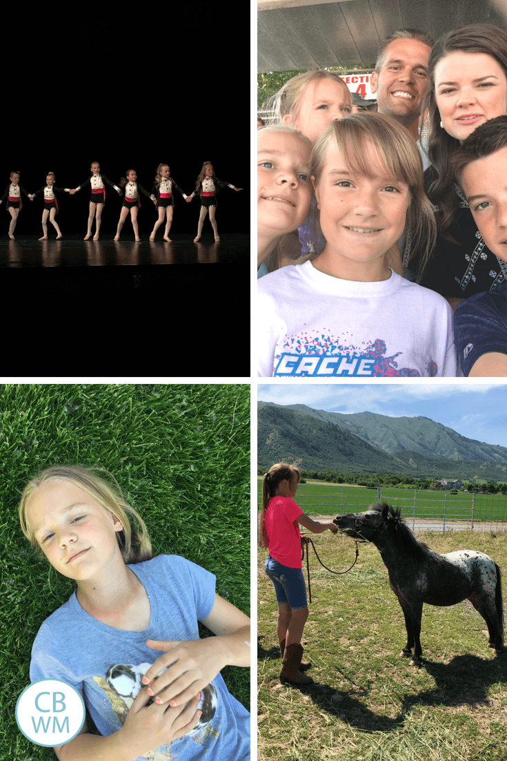 Dance recital, circus, bunny, and horses