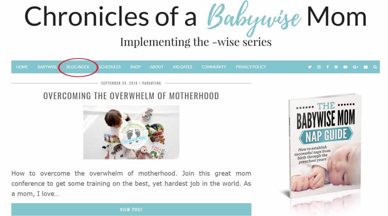 Chronicles of a Babywise Mom Blog Index Navigation Button