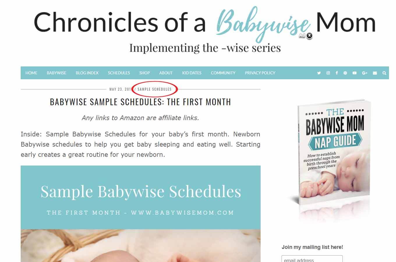 Search Chronicles of a Babywise Mom by category