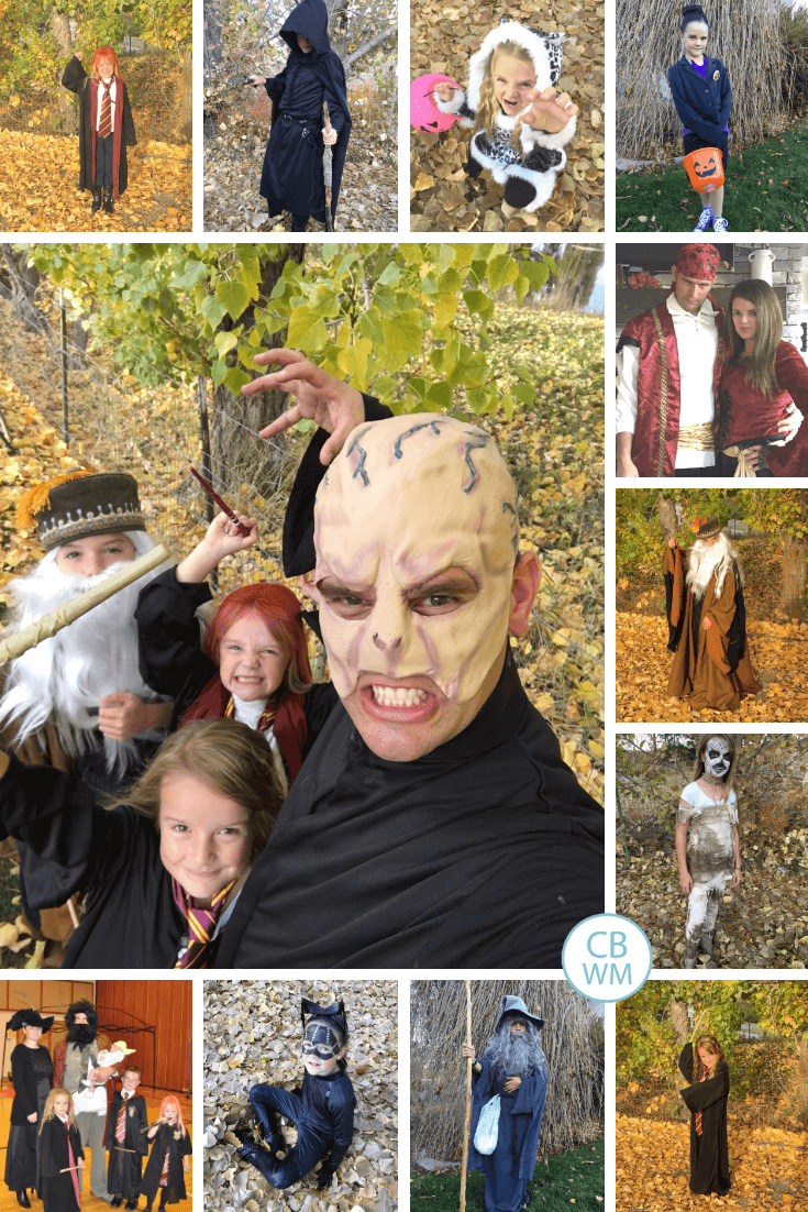 Halloween Costume Ideas for the Whole Family. Over 36 ideas for Halloween costumes. There are costume ideas for kids, costume ideas for siblings, and costume ideas for families.