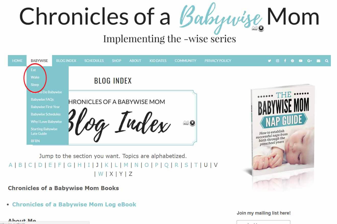 How to navigate the Chronicles of a Babywise Mom Blog