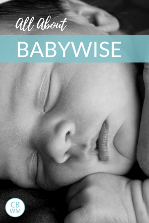 on becoming babywise book