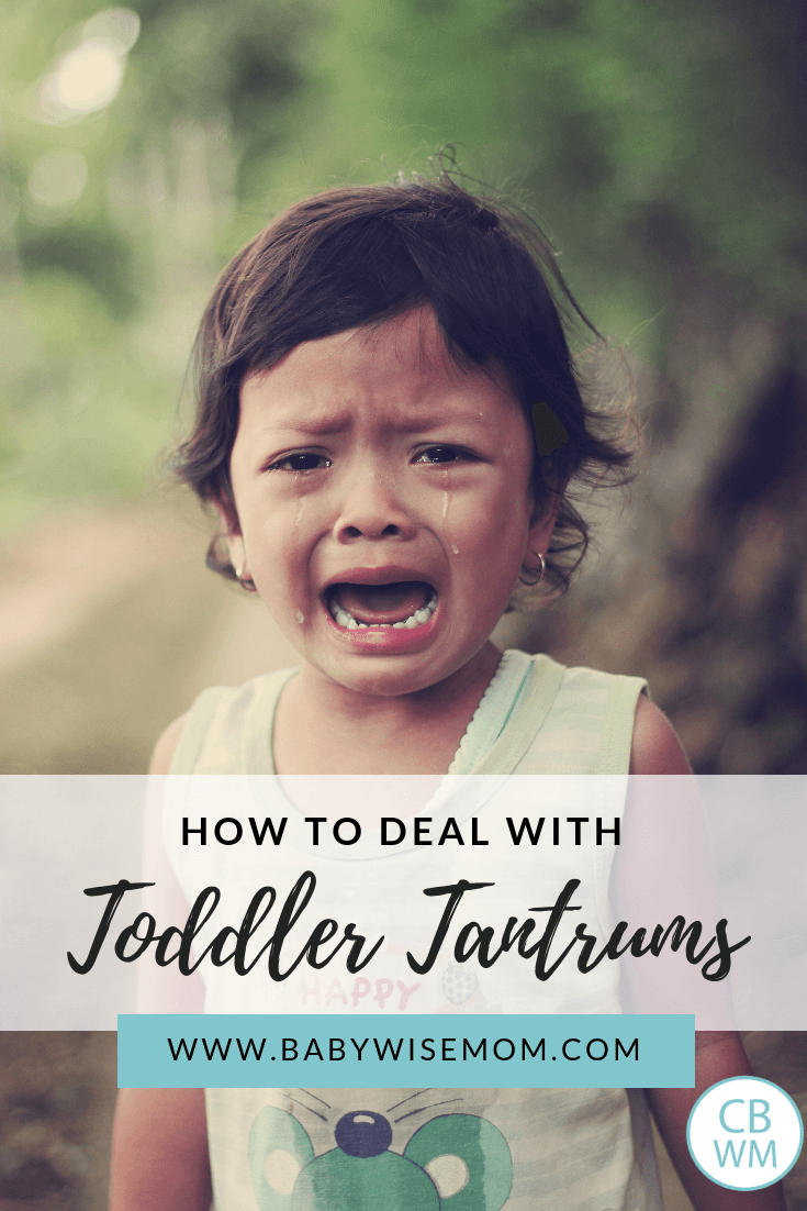 How to Deal with Toddler Tantrums - Babywise Mom