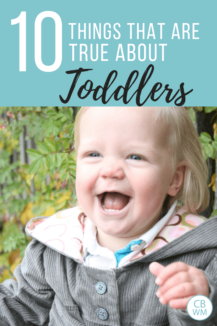 10 things that are true about toddlers. Parenting tips to help make parenting your toddler smoother and easier. Know what to expect in the toddler years.