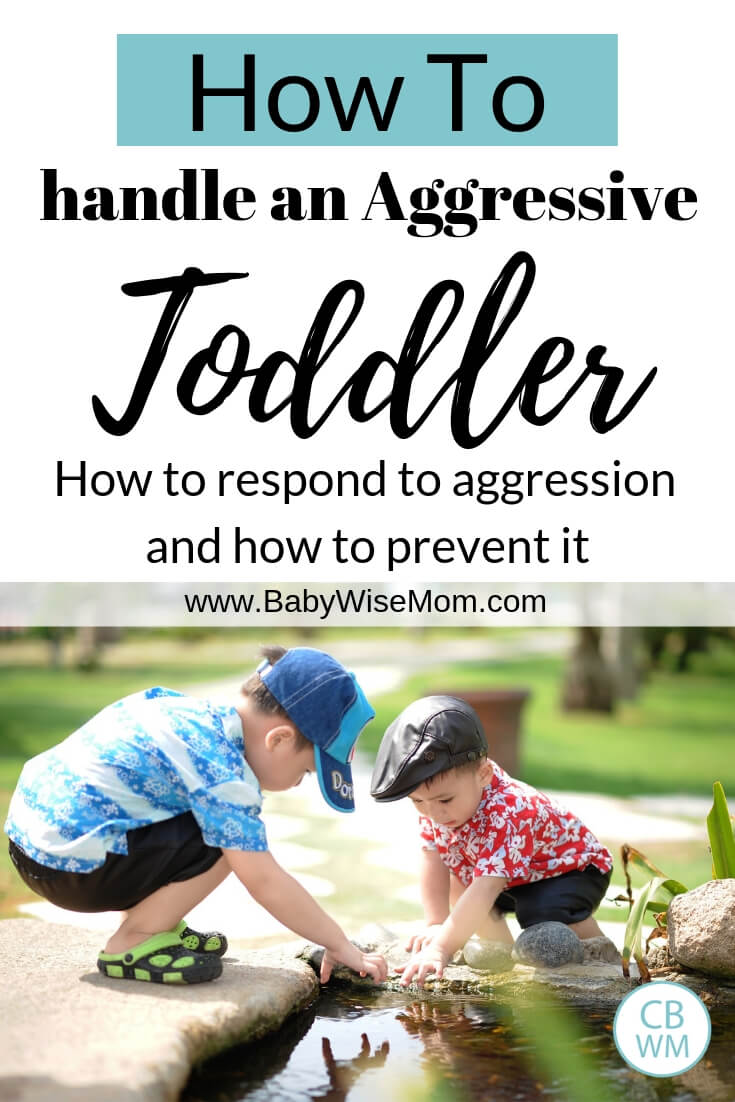 How to respond when your toddler or preschooler is hitting or hurting other chidlren. Appropriate consequences as well as how to prevent aggression in the future with a picture of two boys playing in water