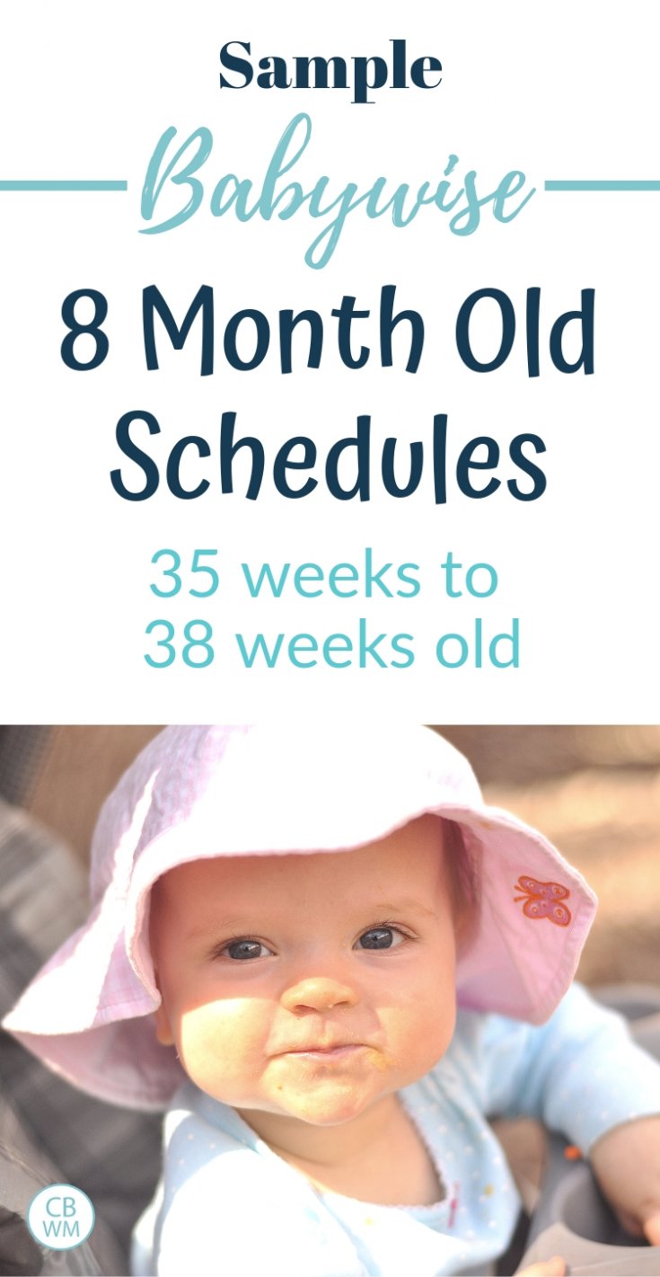 babywise-sample-schedules-eight-months-old-babywise-mom