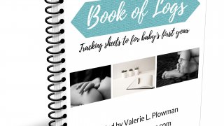 The Babywise Mom Book of Logs eBook cover
