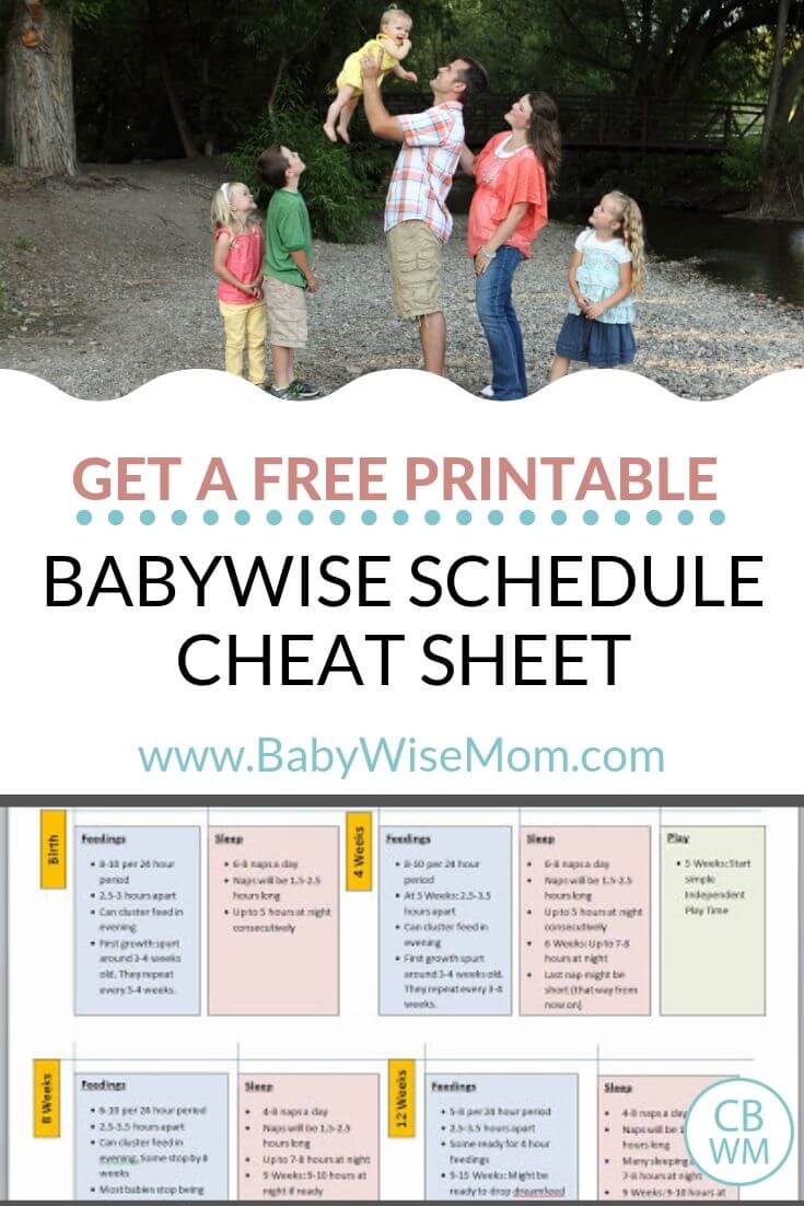 Babywise Schedule Chart