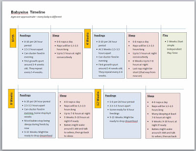 Babywise timeline and what to expect in the first year