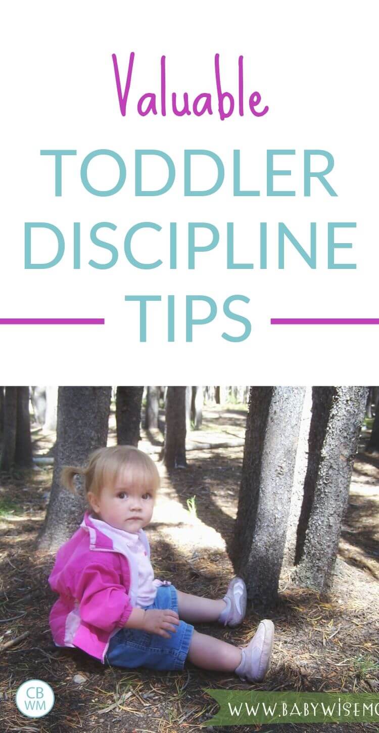 Valuable toddler discipline tips pinnable image