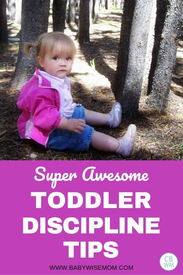 Super awesome toddler discipline tips found in Toddlerwise. These helpful tips will help you correct your toddler and make sure he/she obeys you from a young age, making future correction so much easier! Pinnable image about toddler discipline