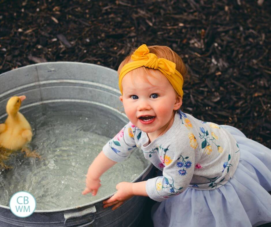 Toddler playing in the water basin with ducklings floating in it