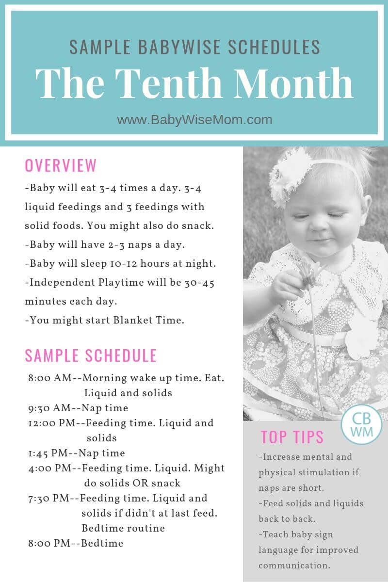 The Tenth Month Sample Baby Schedule Graphic