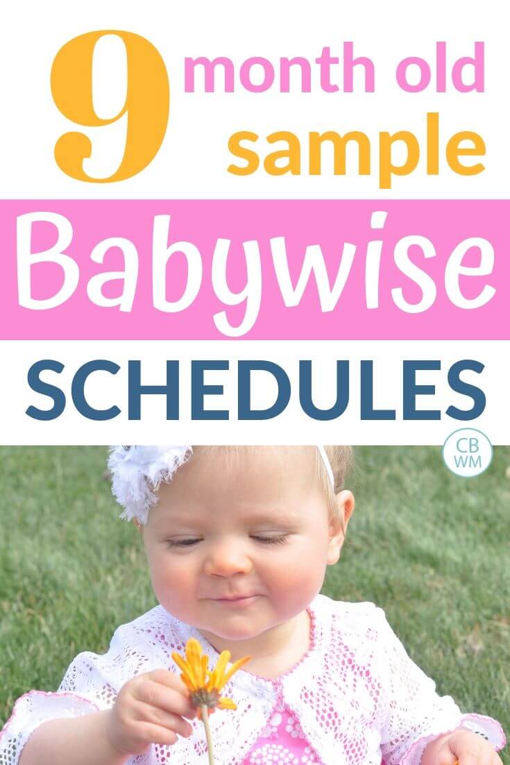 babywise 9 months