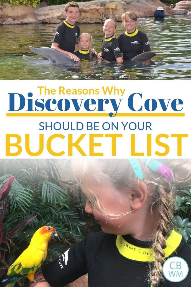 Discovery Cove Bucket List Pinnable Image