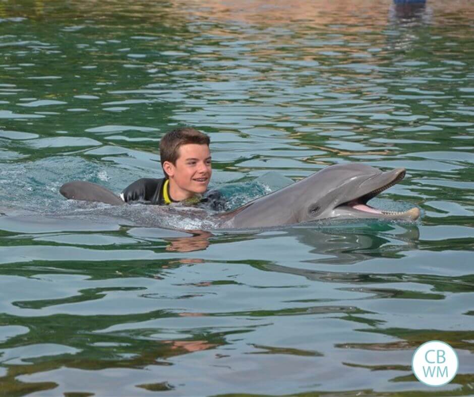 Dolphin swim at Discovery Cove