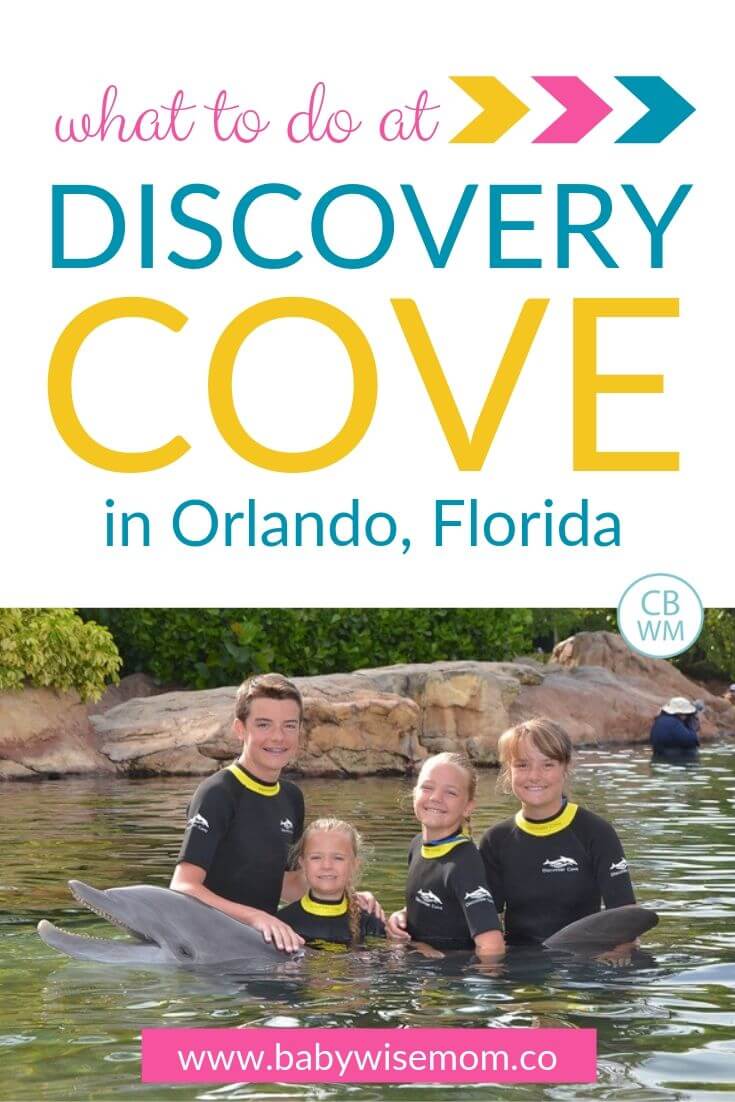 What to do at Discovery Cove Pinnable image