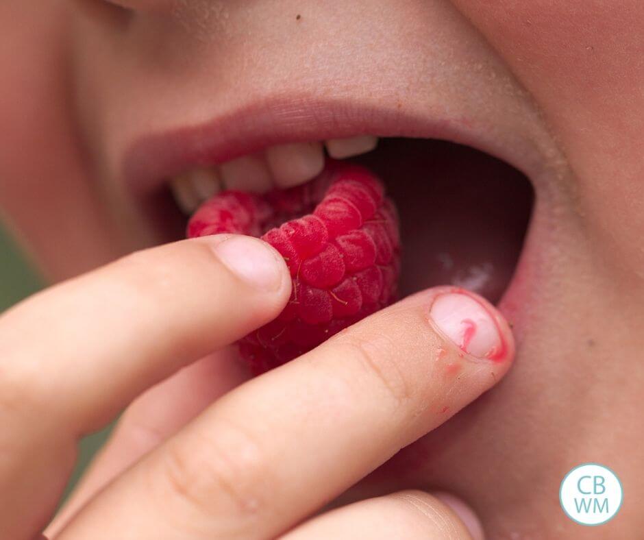 child eating a raspberry
