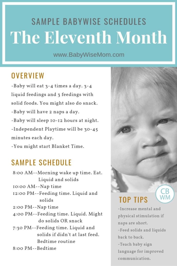 babywise-sample-schedules-ten-months-old-babywise-mom