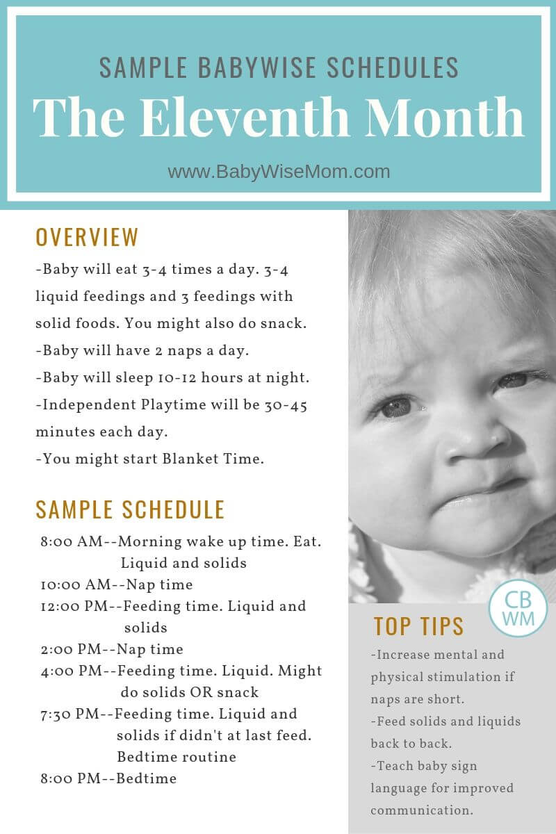 10 Month Old Baby Schedule Graphic