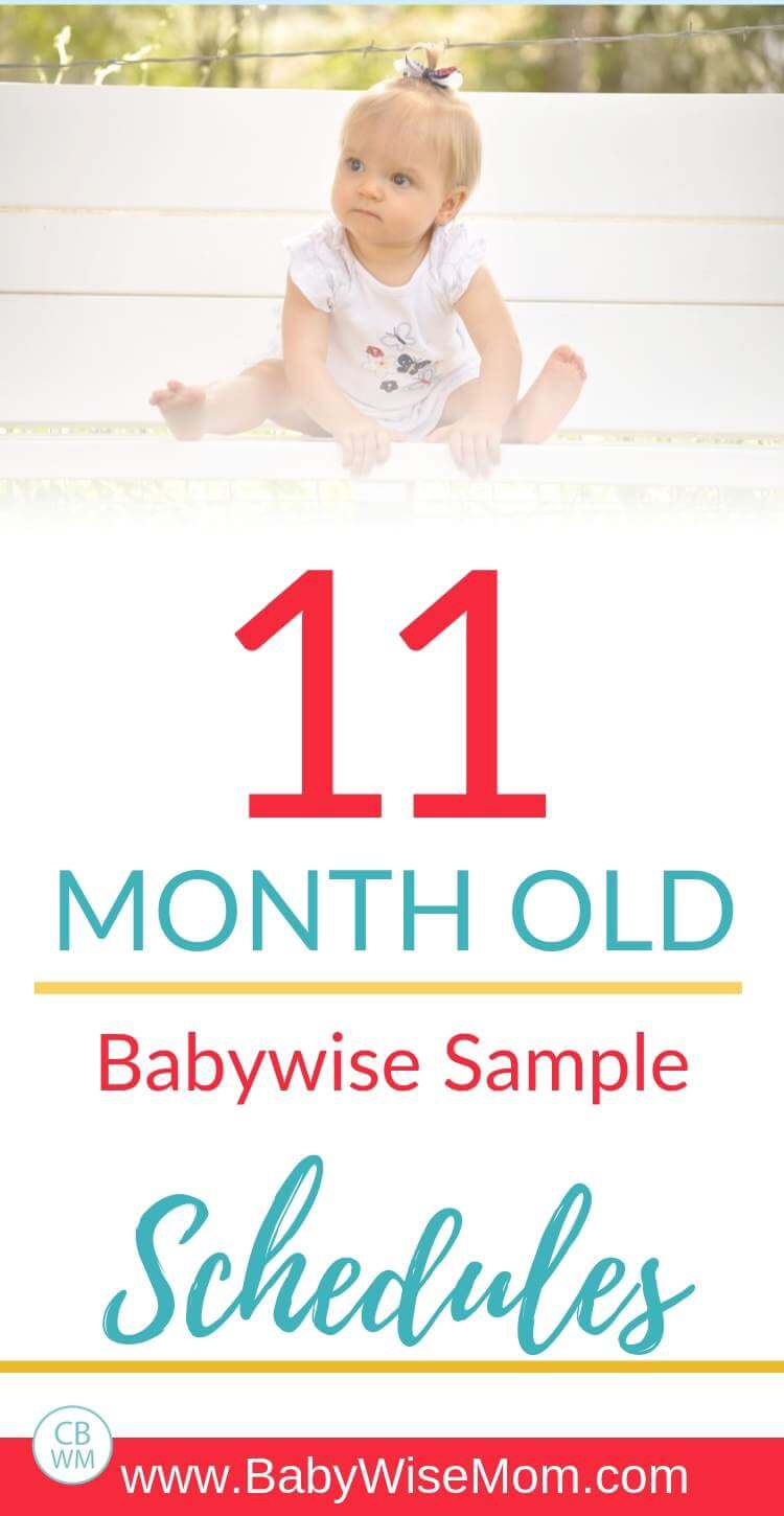 11 month old babywise schedules Pinnable image