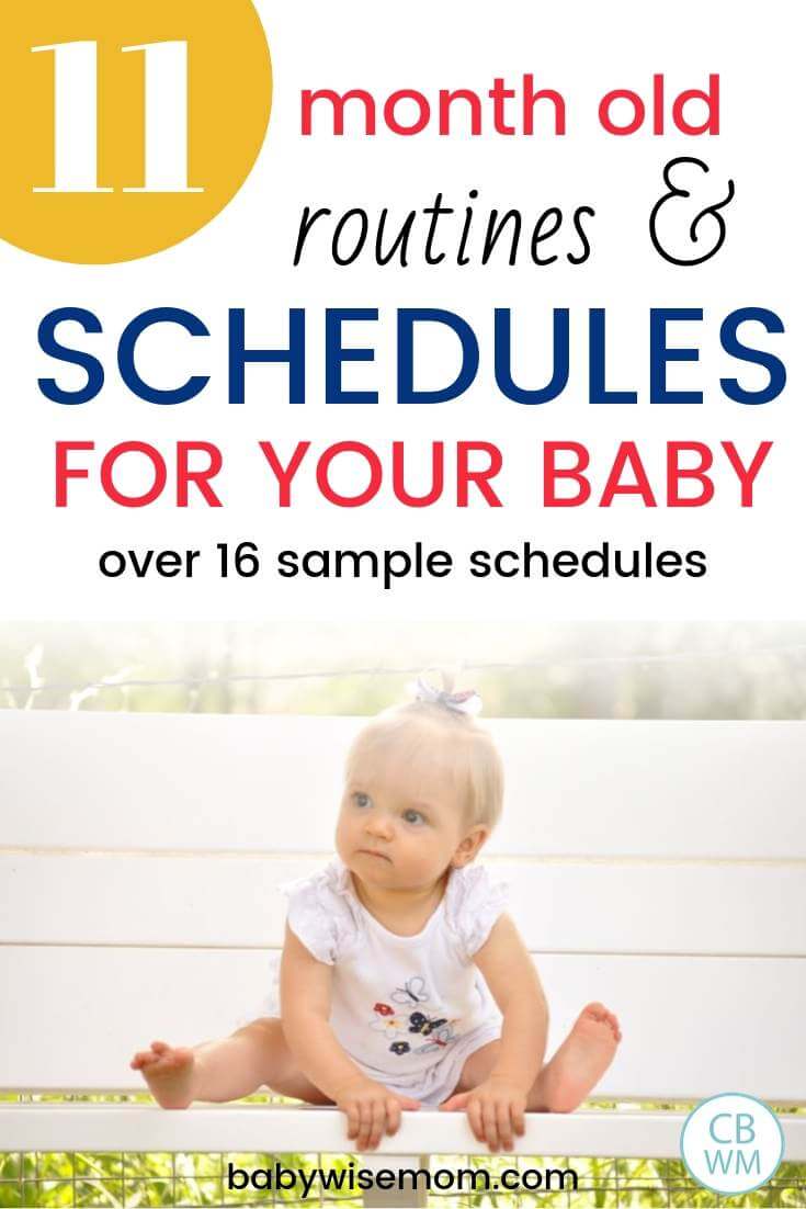 11 month old routine and schedules for your baby Pinnable image