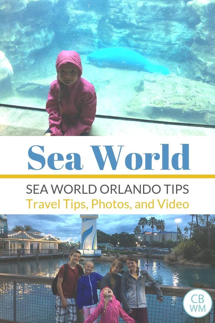 Sea World Travel Tips pinnable image