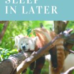 how to get your child to sleep in later